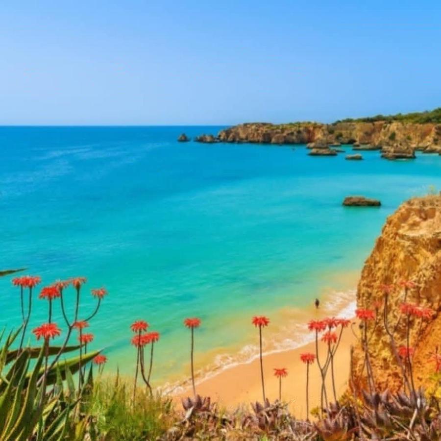 Paraiso De Alvor - A True Paradise In An Amazing Nature Place With Direct Access To The Pool - Peace And Relax - Next To Alvor Village And The Beach Exterior foto